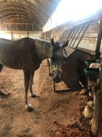 71684410_429361374363720_1479413425116282880_n